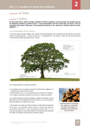 Extrait de la rubrique bois